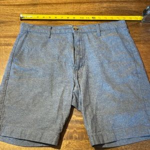 Taylor Stitch Blue Shorts